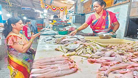 इंधन दरवाढीमुळे मासे २०० ते ३०० रुपयांनी महाग