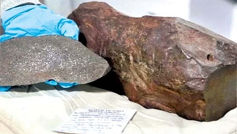 ऑस्ट्रेलिया : सोन्याचा समजून ठेवलेला दगड निघाला सोन्यापेक्षाही मौल्यवान!