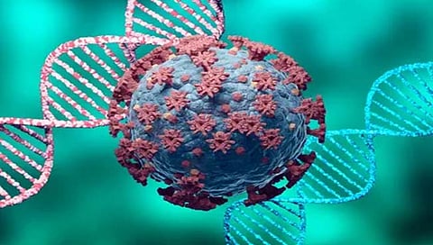 मुंबई : ओमिक्रॉनचा रुग्ण आढळल्यास संपूर्ण इमारत सील होणार