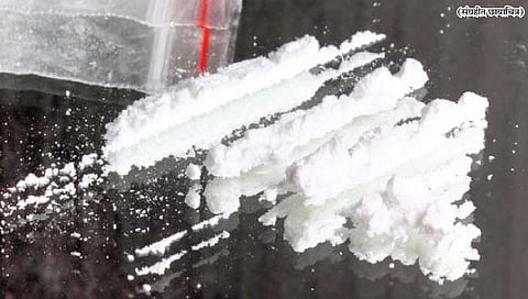 Drugs : चंदगडमध्ये म्हशी, घोड्याच्या गोठ्यात ड्रग्जची शेती!