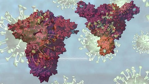 Omicron : ‘ओमायक्रॉन’चा एकही रुग्ण देशात नाही, केंद्रीय आरोग्य मंत्री मनसुख मांडविया यांची माहिती