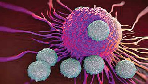 कर्करोगावरील उपचारात ‘टी-सेल्स’च्या मार्गातील अडथळे दूर