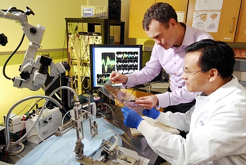 Biomedical File photo