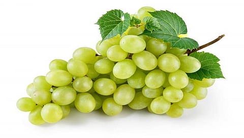 द्राक्षपट्ट्यात ‘हैद्राबाद मेड’ औषधांची विक्री, घरोघरी थाटली दुकाने