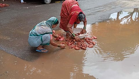 Jaysingpur Market : जयसिंगपुरात रताळे खाताय तर सावधान, चक्क रस्त्यावरील सांडपाण्यात धुतात रताळी