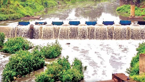 पंचगंगा प्रदूषण प्रश्नी यंत्रणा उदासीन