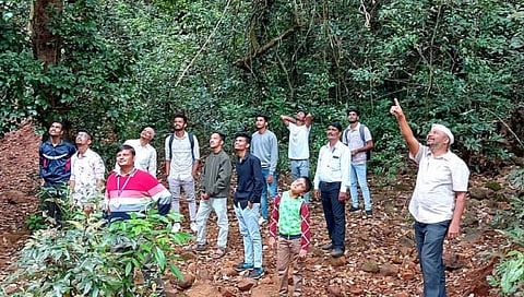 दै. ‘पुढारी’ प्रयोग सोशल फाऊंडेशन, वन्यजीव विभाग, ‘केएमसी’ कॉलेजतर्फे राधानगरी-दाजीपूर निसर्गभ्रमंती