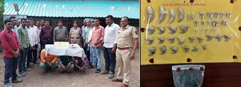 वाघाच्या दात आणि नखांसह पाच आरोपींना अटक