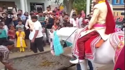 Viral Video : एक आवाज झाला आणि नवऱ्याला घेऊन घोडा फरार; वऱ्हाडी मंडळी फक्त बघत राहिली