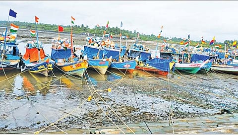 समुद्रकिनार्यावर जेलीफिशचे थैमान