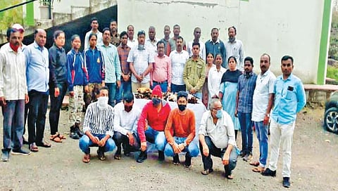 मुंगसाच्या केसांपासून बनवले ब्रश, वनविभागाच्या कारवाईमुळे खळबळ