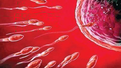 सैल अंतर्वस्त्र घालणार्या पुरुषांमध्ये शुक्राणू १७ टक्के जास्त, संशोधनातून सिद्ध