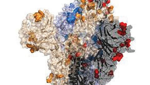 ओमायक्रॉन ठरणार कोरोना महामारीचा अंत!