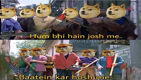 ट्विटरवर #MonkeyVsDog ट्रेंडिंग का सुरू आहे? मीम्स व्हायरल
