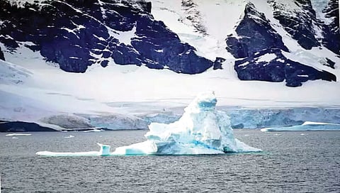 अंटार्क्टिका मधील बर्फाखाली सापडल्या जीवांच्या ७७ प्रजाती
