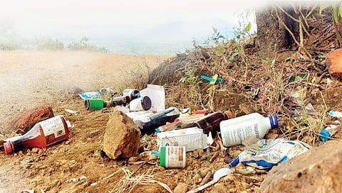 कोल्हापूर : दारूच्या बाटल्या, प्लास्टिकने जंगले व्यापली!
