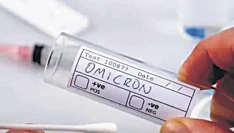 ओमायक्रॉन ही एक प्रकारची नैसर्गिक लस! भारतातील वरिष्ठ डॉक्टरांचा दावा
