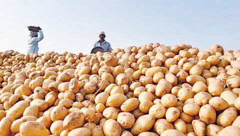 पेप्सिको ला दणक्याचा अन्वयार्थ