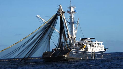 ट्रॉलर्स