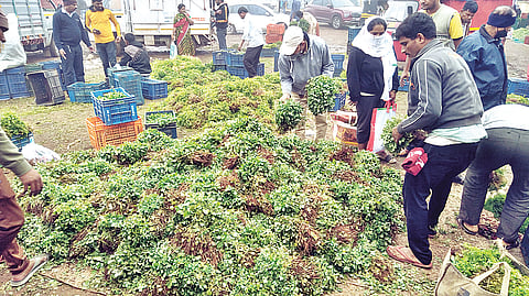 अवकाळीमुळे भाज्यांचे दर कडाडले