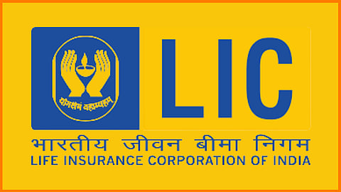 कामाची बातमी! LIC च्या IPO मध्ये पैसे गुंतवायचेत ? तर लगेच PAN अपडेट करा; ही आहे प्रक्रिया