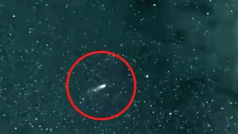 लियोनार्ड : हिरव्या शेपटीच्या धूमकेतूचा व्हिडीओ टिपण्यात यश