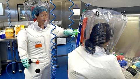 London : वुहानच्या प्रयोगशाळेतूनच कोरोना विषाणुची उत्पत्ती; शास्त्रज्ञांचा दावा