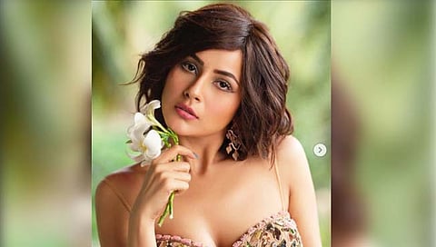 Lucifer : सिद्धार्थ शुक्लाच्या निधनानंतर शहनाज गिलची पुन्हा एन्ट्री?