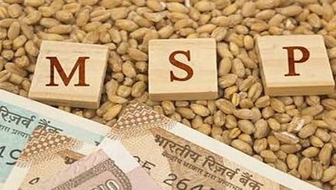 MSP : हमीभाव फायद्याचा कधी होईल?