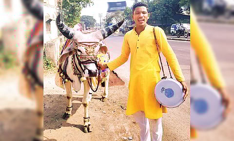 Nandibail in Talegaon area!