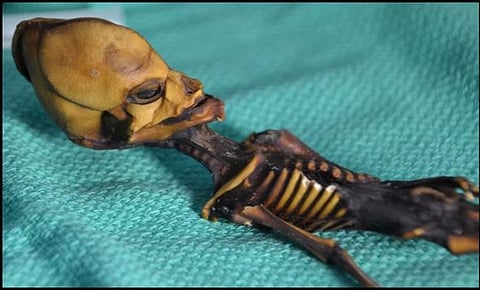 ६ इंच लांबीच्या त्या ‘परग्रहवासी’ सांगाड्याचे सत्य आहे तरी काय?