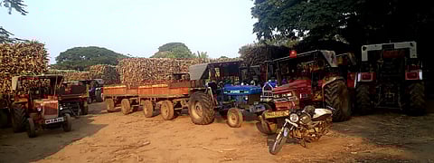 माळेगाव साखर कारखान्याच्या ऊस वाहतूक संघटनेने पुकारलेल्या संपामुळे ठप्प झालेली यंत्रणा. (छाया : प्रा. अनिल धुमाळ)