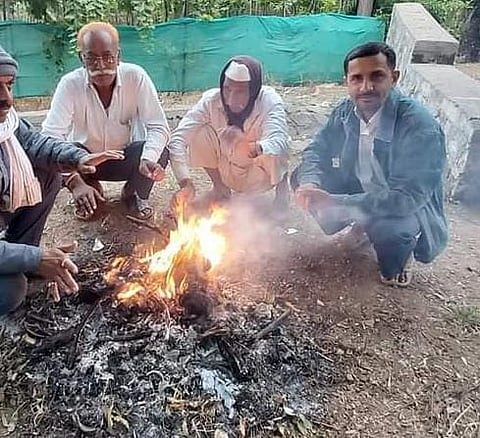 नाशिक : निफाडच्या द्राक्षपंढरीला हुडहुडी, पारा ८.५ अंशावर घसरला