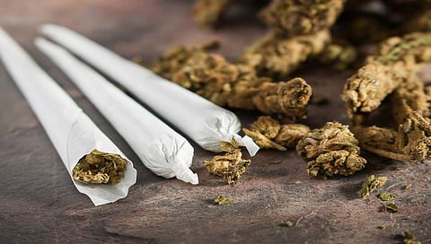 Bhusawal Police : भुसावळ पोलिसांकडून तब्बल ३३ किलो गांजा हस्तगत