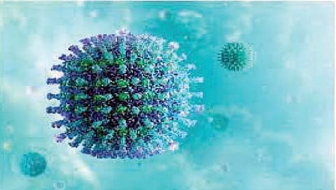 प्रातिनिधक छायाचित्र