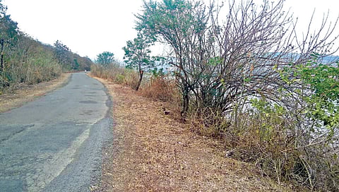 सातारा : उत्तरमांड धरण संरक्षण भिंतीअभावी असुरक्षित