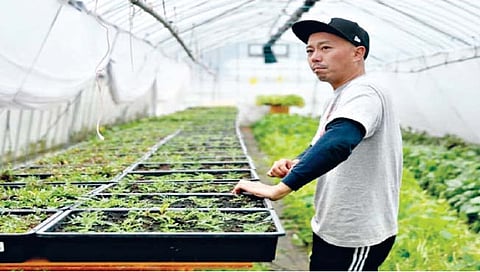 शेती ही व्यवसायाची संधी, जपानमधील शेतकऱ्यांशी संवाद