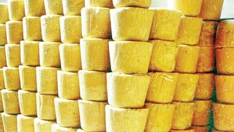 कोल्हापूर गूळ उद्योगाला घरघर; एक लाख रव्यांची घट