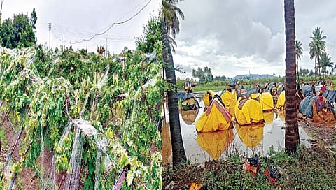 अवकाळी पाऊस : कोल्हापूर १२० कोटी, सांगलीचे साडेतीन हजार कोटींचे नुकसान