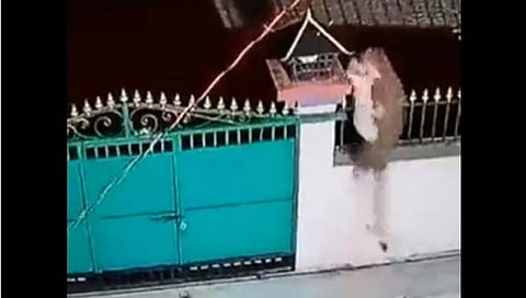 Viral video : गेटवरुन उडी घेत बिबट्याचा कुत्र्यावर हल्ला अन् त्यानंतर जे घडलं ते थरारकच!