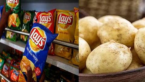 PepsiCo : शेतकऱ्यांनी जिंकली बटाट्याची लढाई! पेप्सिकोला तगडा झटका, काय आहे नेमकं प्रकरण?