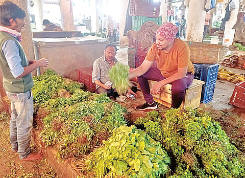 पुणे : पालेभाज्या कडाडल्या ; कोथिंबीर 50 रुपये; मेथी, कांदापात, शेपू 30 रुपये गड्डी