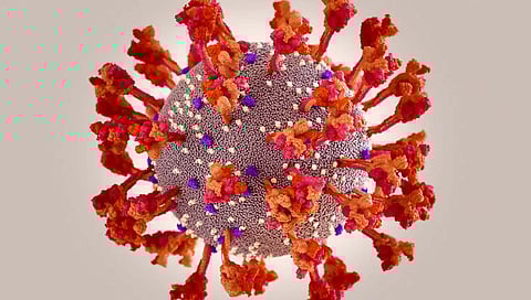 ओमायक्रॉन सब-व्हेरियंट बीए.१ ग्रस्तांना बीए.२ ची लागण अशक्य