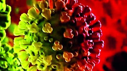 ओमायक्रॉन व्हेरियंटचा वेग वाढला; एका दिवसांत ‘इतके’ रुग्ण