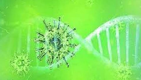 डेल्मिक्रॉन : डेल्टा, ओमायक्रॉनच्या संयोगातून काय होईल? शास्त्रज्ञांनी दिला इशारा