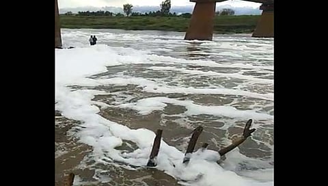 panchganga pollution : राजाराम बंधाऱ्याजवळ पंचगंगा फेसाळली