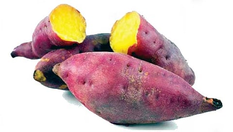 रताळे : मुलांसाठी हिवाळ्यात रताळ्याचे सेवन ठरते लाभदायक