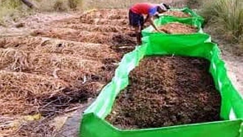 Organic farming : आधुनिक शेतकरी वळतोय सेंद्रीय शेतीकडे