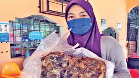 नशीब पालटले! समुद्रकिनारी महिलेला सापडलेला विचित्र ‘कचरा’ निघाला कोट्यवधी रूपयांचा!