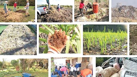 खत व्यवस्थापन : सेंद्रिय खतासाठी कुजवा उसाचे पाचट